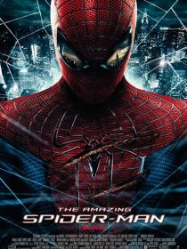 Amazing Spiderman im capitol Kino Bernburg poster.jpg
