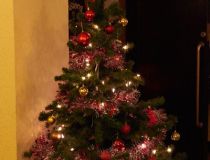 BearbeitetCapitol Weihnachten 2014_0004.jpg