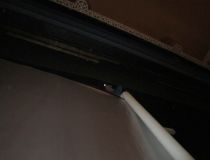 BearbIMG_3089.jpg
