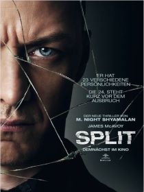 Split Poster.jpg