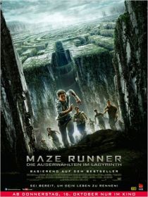 Maze Runner Poster.jpg