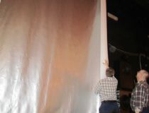 BearbIMG_3087.jpg